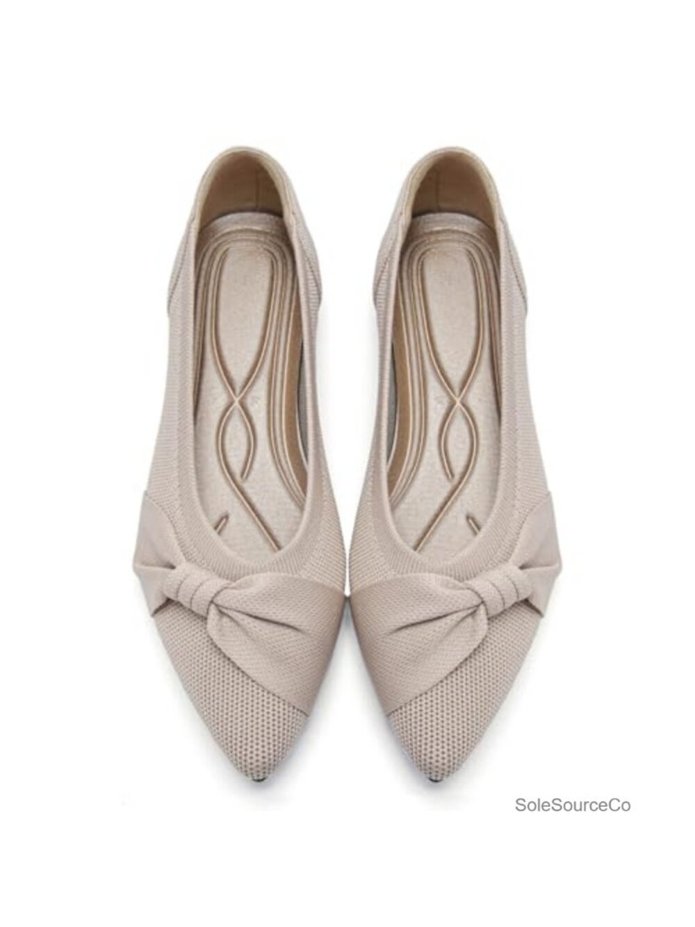Pointed Toe Ballet Flats with Bow and Cushioned Heel
